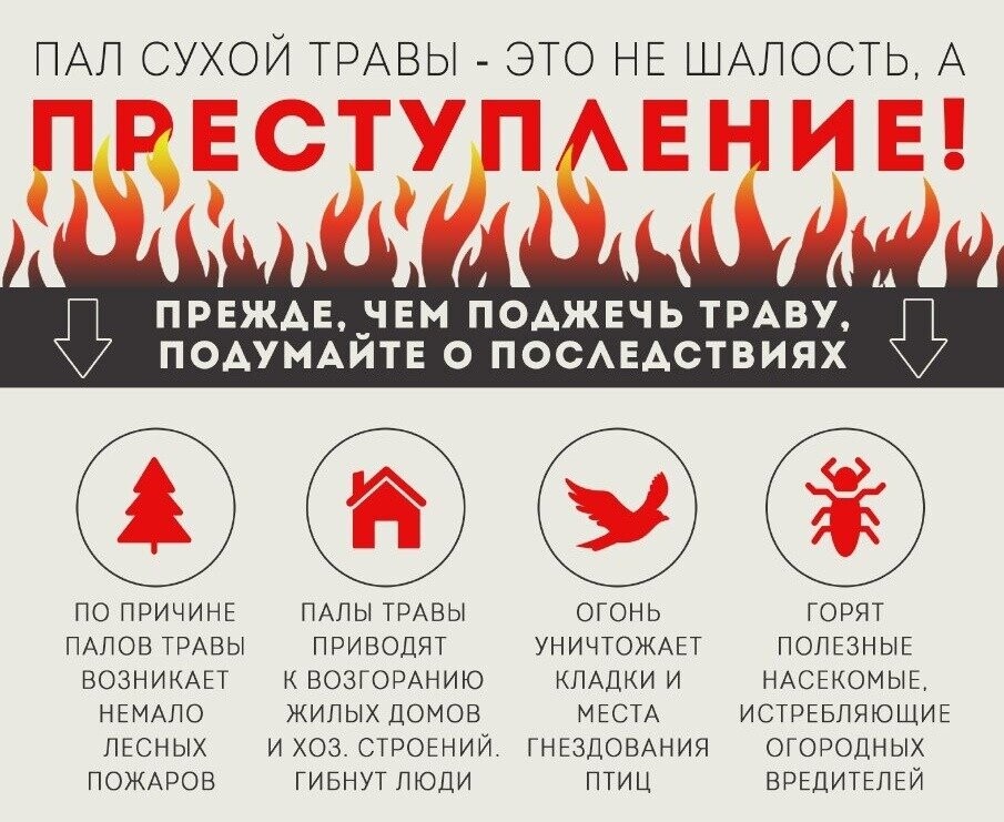 Прежде,чем поджечь траву,подумайте о последствиях!.
