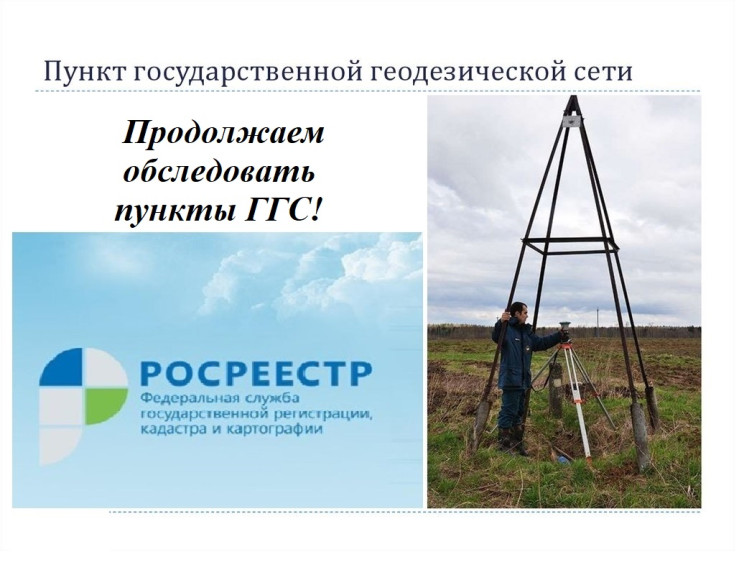 Росеестр. Росеестр.